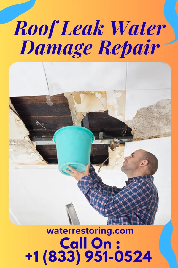 Roof Leak Water Damage Repair in Tierra Bonita, TX