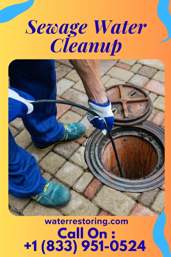 Sewage Water Cleanup in Tierra Bonita, TX